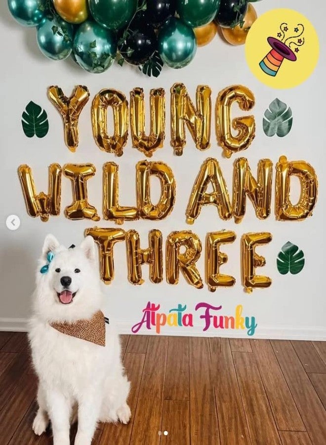 Atpata Funky Young Wild And Three 16inch Alphabet Foil Balloons for unisex 3rd Birthday Parties, Gold - Image 4